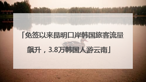 免签以来昆明口岸韩国旅客流量飙升，3.8万韩国人游云南