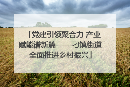 党建引领聚合力 产业赋能谱新篇——刁镇街道全面推进乡村振兴