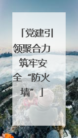 党建引领聚合力 筑牢安全“防火墙”