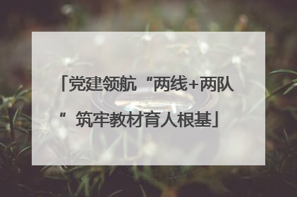 党建领航“两线+两队”筑牢教材育人根基