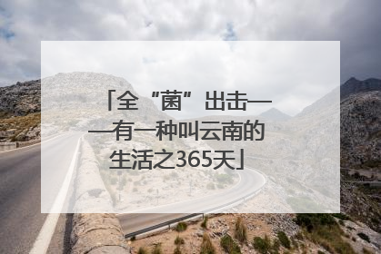 全“菌”出击——有一种叫云南的生活之365天