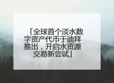 全球首个淡水数字资产代币于迪拜推出，开启水资源交易新尝试