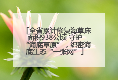全省累计修复海草床面积938公顷 守护“海底草原”，织密海底生态“一张网”