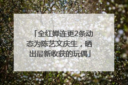 全红婵连更2条动态为陈艺文庆生，晒出最新收获的玩偶