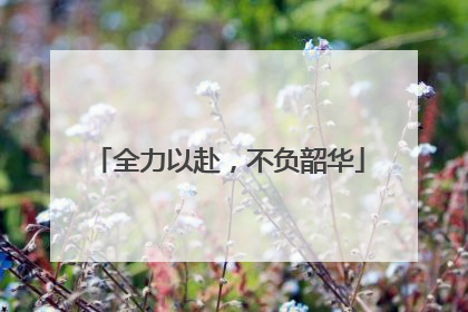 全力以赴，不负韶华