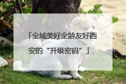全域美好全龄友好西安的“升级密码”