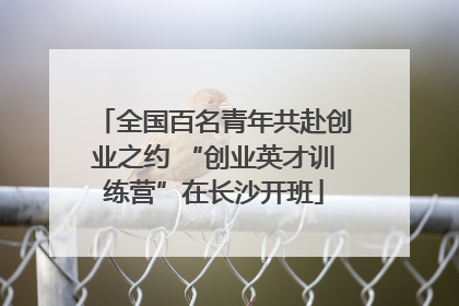 全国百名青年共赴创业之约 “创业英才训练营”在长沙开班
