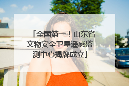 全国第一！山东省文物安全卫星遥感监测中心揭牌成立
