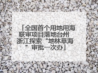 全国首个用地用海联审项目落地台州 浙江探索“地林草海”审批一次办