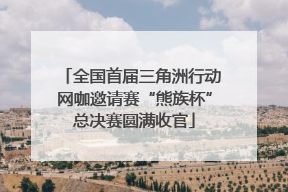 全国首届三角洲行动网咖邀请赛“熊族杯”总决赛圆满收官