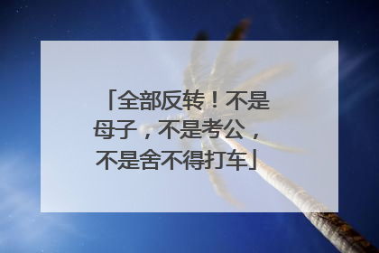 全部反转！不是母子，不是考公，不是舍不得打车