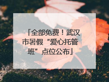 全部免费！武汉市暑假“爱心托管班”点位公布
