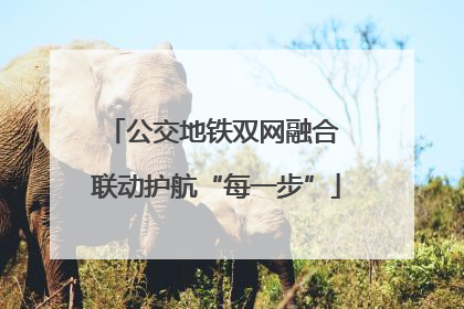 公交地铁双网融合 联动护航“每一步”
