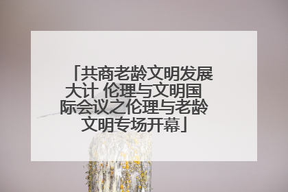 共商老龄文明发展大计 伦理与文明国际会议之伦理与老龄文明专场开幕