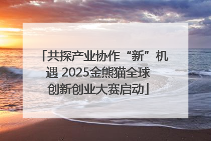 共探产业协作“新”机遇 2025金熊猫全球创新创业大赛启动