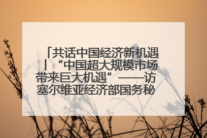 共话中国经济新机遇丨“中国超大规模市场带来巨大机遇”——访塞尔维亚经济部国务秘书尼科利奇