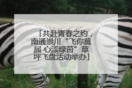 共赴青春之约，南通崇川“飞你莫属 心漾绿茵”草坪飞盘活动举办