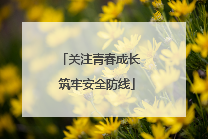 关注青春成长 筑牢安全防线