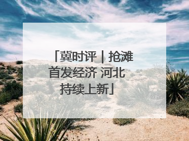 冀时评｜抢滩首发经济 河北持续上新