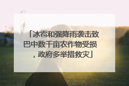 冰雹和强降雨袭击致巴中数千亩农作物受损，政府多举措救灾