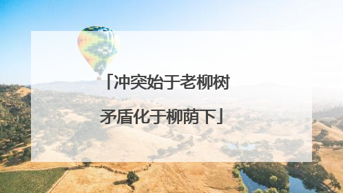 冲突始于老柳树 矛盾化于柳荫下
