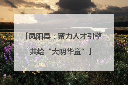 凤阳县：聚力人才引擎 共绘“大明华章”