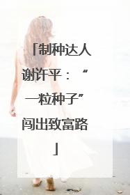 制种达人谢许平：“一粒种子”闯出致富路