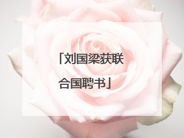 刘国梁获联合国聘书