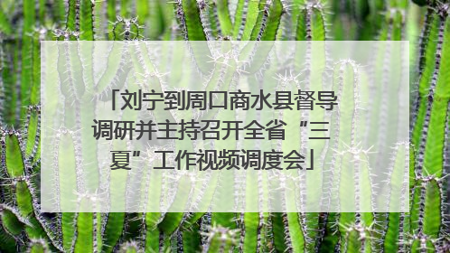刘宁到周口商水县督导调研并主持召开全省“三夏”工作视频调度会