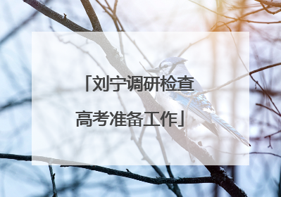 刘宁调研检查高考准备工作