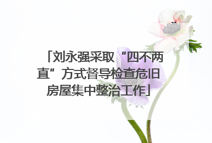 刘永强采取“四不两直”方式督导检查危旧房屋集中整治工作