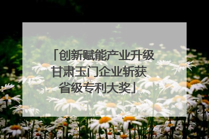 创新赋能产业升级 甘肃玉门企业斩获省级专利大奖