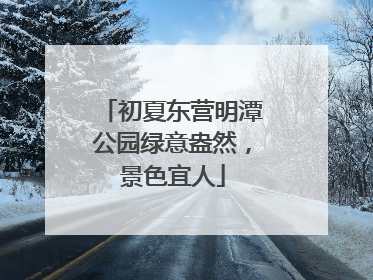 初夏东营明潭公园绿意盎然，景色宜人