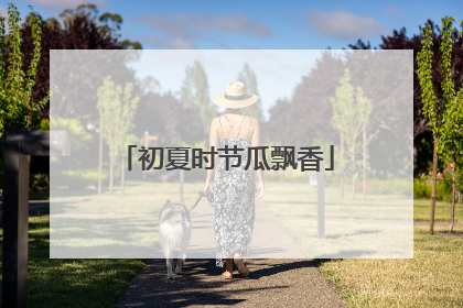 初夏时节瓜飘香