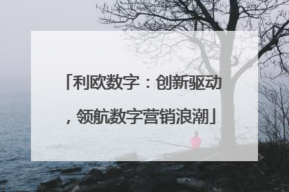 利欧数字：创新驱动，领航数字营销浪潮