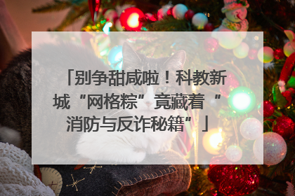 别争甜咸啦！科教新城“网格粽”竟藏着“消防与反诈秘籍”