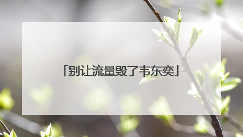 别让流量毁了韦东奕