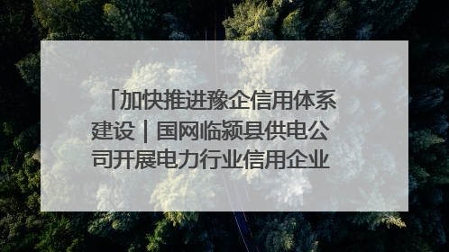 加快推进豫企信用体系建设｜国网临颍县供电公司开展电力行业信用企业现场咨询访谈工作