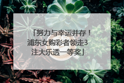 努力与幸运并存！浦东女购彩者领走3注大乐透一等奖