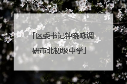 区委书记钟晓咏调研市北初级中学