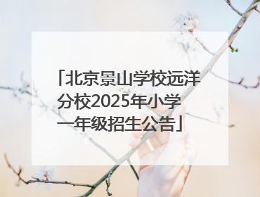 北京景山学校远洋分校2025年小学一年级招生公告
