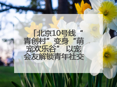 北京10号线“青创村”变身“萌宠欢乐谷” 以宠会友解锁青年社交新范式
