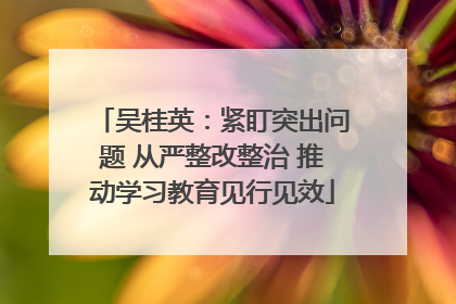 吴桂英：紧盯突出问题 从严整改整治 推动学习教育见行见效