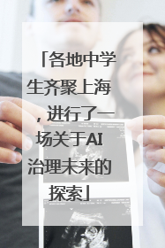各地中学生齐聚上海，进行了一场关于AI治理未来的探索
