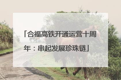 合福高铁开通运营十周年：串起发展珍珠链