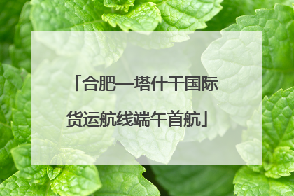 合肥—塔什干国际货运航线端午首航