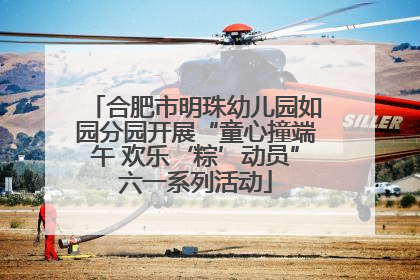合肥市明珠幼儿园如园分园开展“童心撞端午 欢乐‘粽’动员”六一系列活动