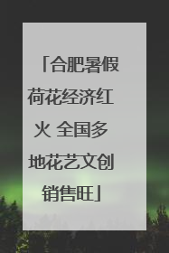合肥暑假荷花经济红火 全国多地花艺文创销售旺