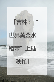 吉林：“世界黄金水稻带”上插秧忙