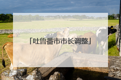 吐鲁番市市长调整